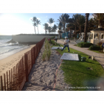 Wood Snow Fence Installed On Beach For Use as Sand Fence 2