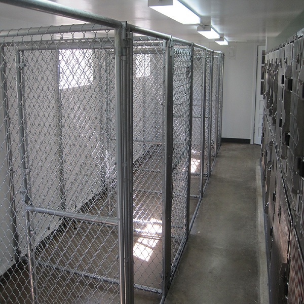 Chain Link Dog Kennel Panels