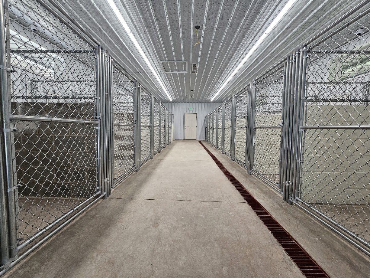 Hoover Fence Chain Link Dog Kennel Panels w/ Gates - Heavy Grade