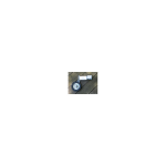 Chain Link Fence Bolt-On Swivel Swing Gate Wheels (CL-SW-GATE-WHEEL-SWIVEL)