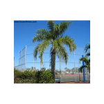 Hoover Fence C-30 Backstop Kit, 20' wide, 20' wings, 20' high (BS-C30)