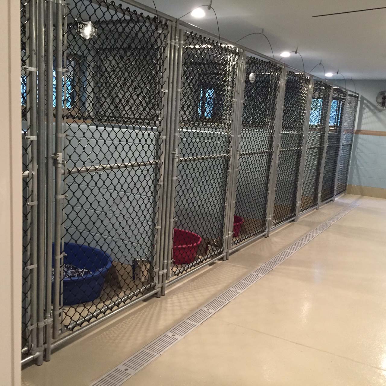 concrete dog kennel designs