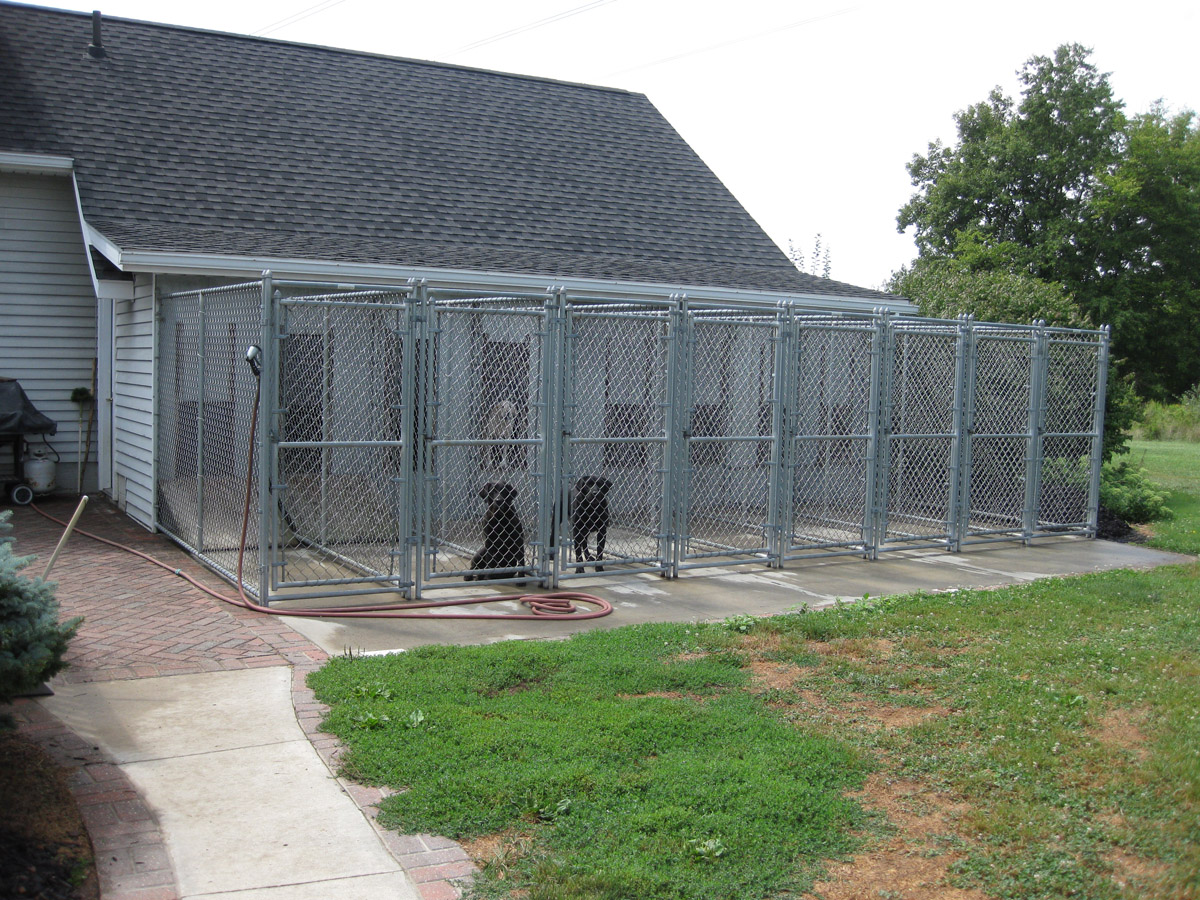 Hfc Dog Kennel Installation Photos