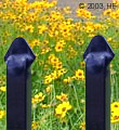 Ideal Aluminum Pressed Spears