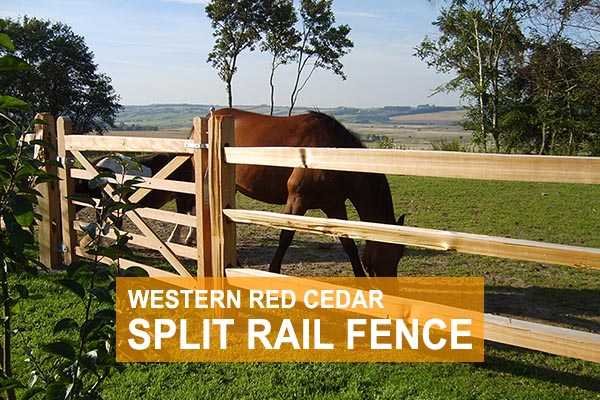 Shop Western Red Cedar Split Rail Fence