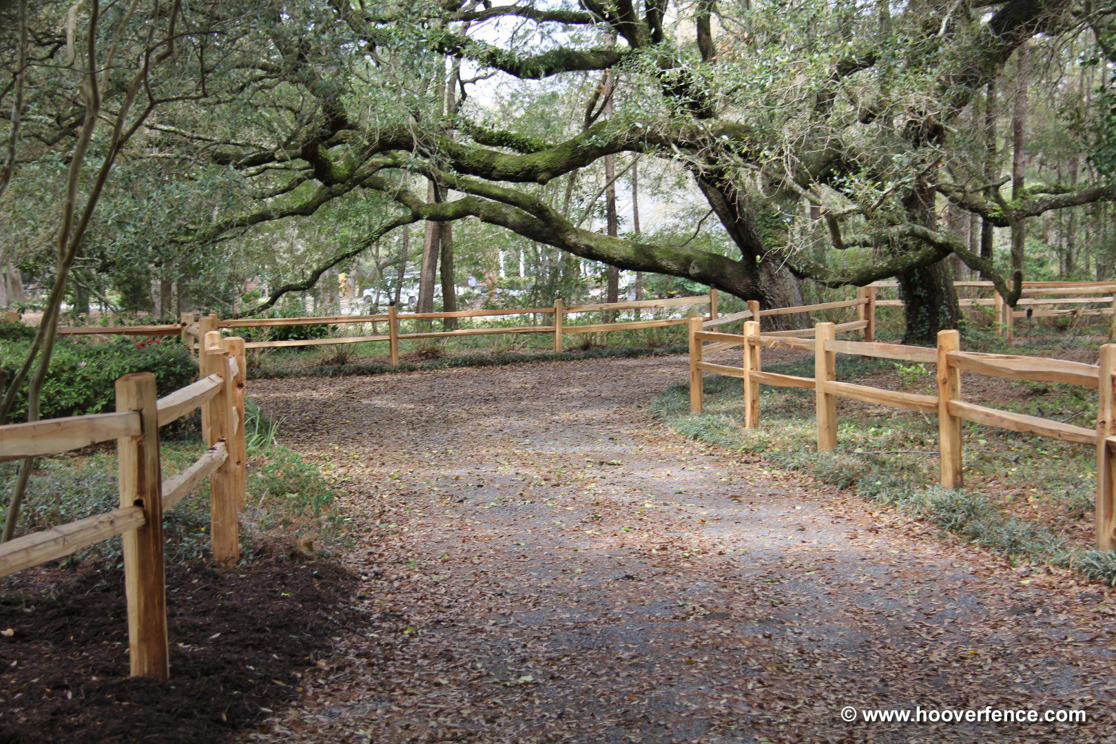 Wood Split Rail Posts